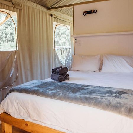 Africamps At White Elephant Safaris Pongola Exterior photo